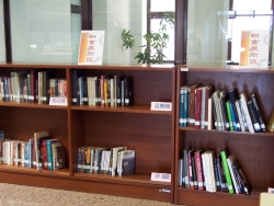 News Books Area